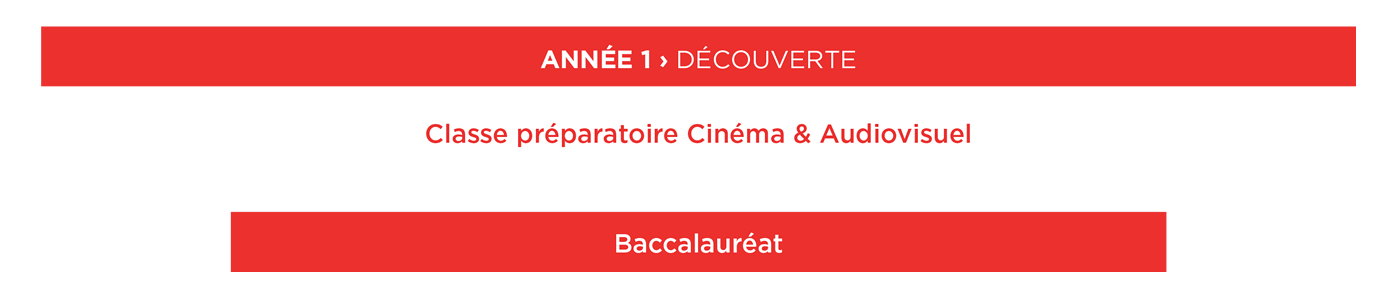 Formation cinéma et audiovisuel année 1 ÉSEC - Schéma des études