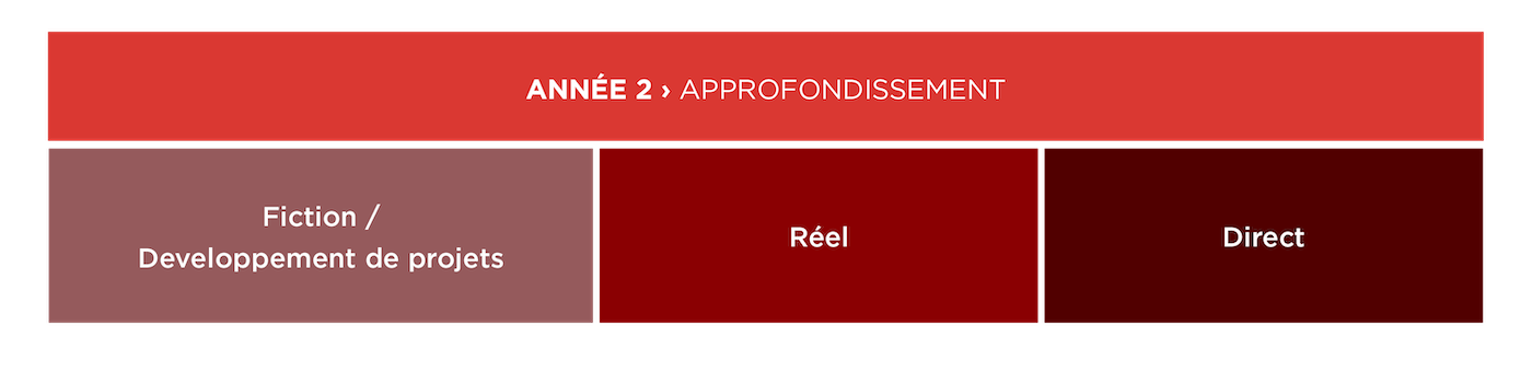 Formation cinéma et audiovisuel année 2 ÉSEC - Schéma des études