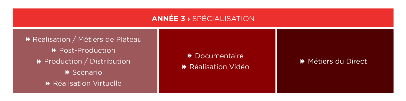 Formation cinéma et audiovisuel année 3 ÉSEC - Schéma des études