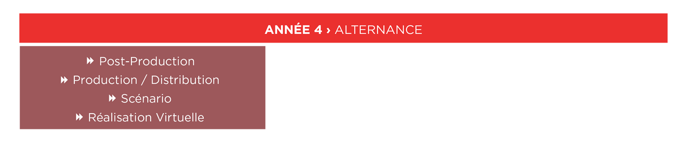 Formation cinéma et audiovisuel année 4 ÉSEC - Schéma des études